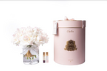 Cote Noire Vase Twelve Roses French Pink w/Pink Box LTW02 - BARGAIN