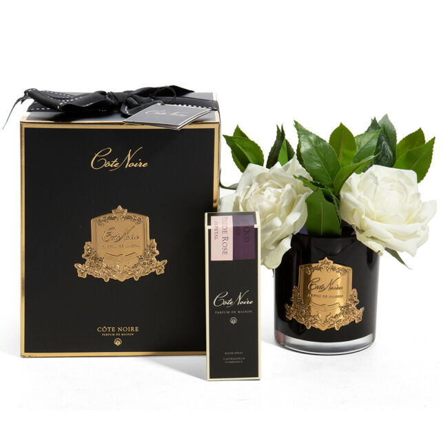 Côte Noire Premium Roses in Black Glass - Ivory SFR02